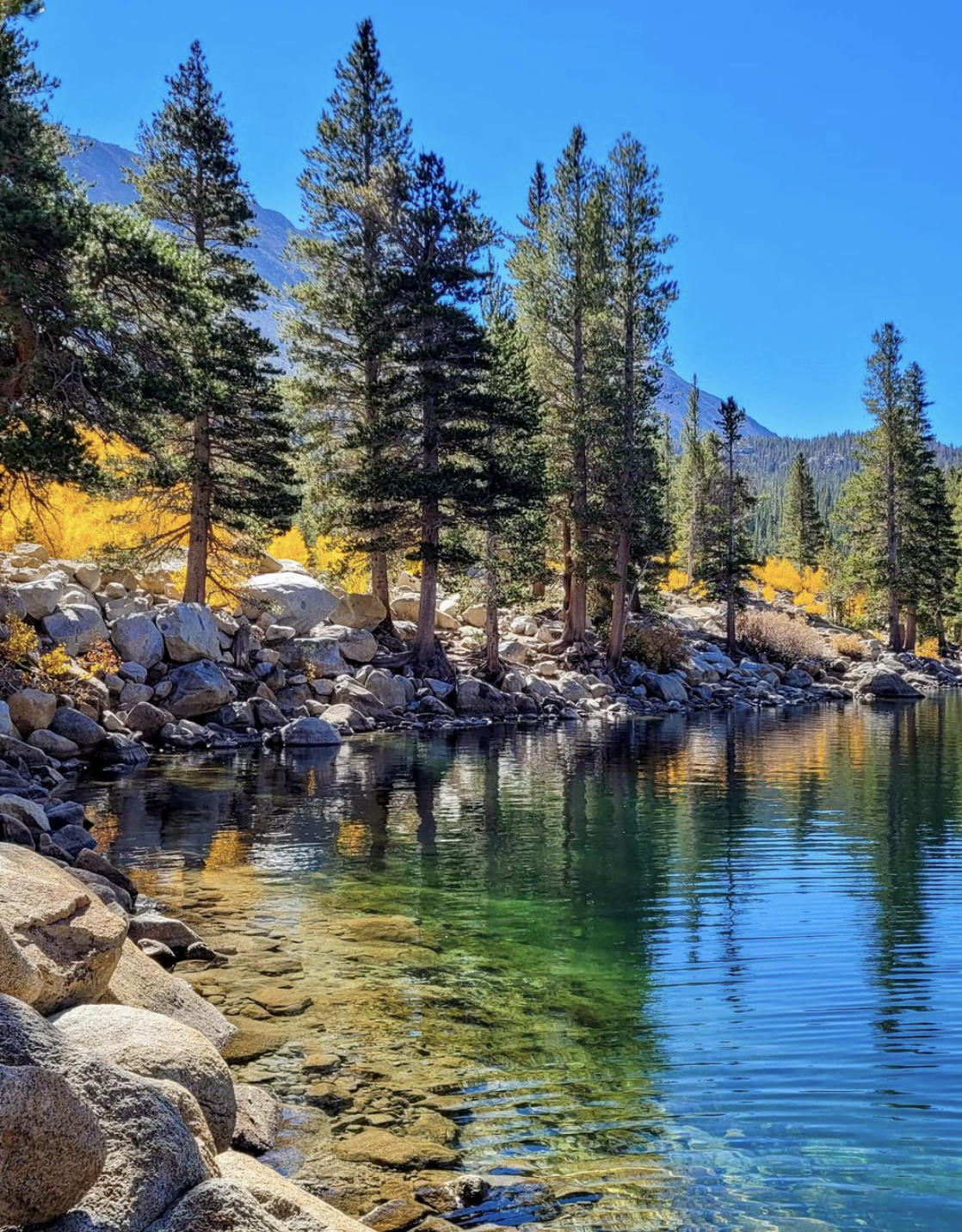 fall colors in mono county